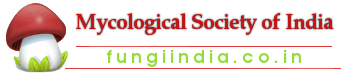 fungiindia.co.in